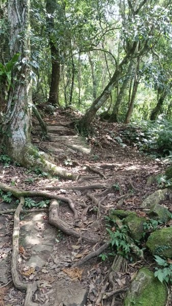 20251004 馬那邦山 - 珠湖 登山口2904936
