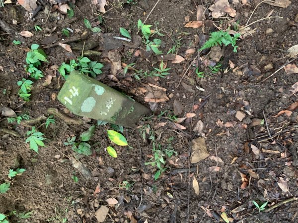 大湖馬拉邦山（小百岳）1065692