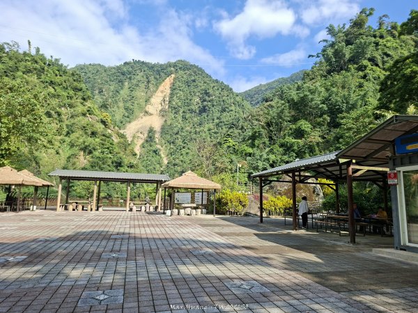 《南投》瀑布茶園｜竹山瑞龍瀑布步道及山坪頂茶山七星步道202609273124264