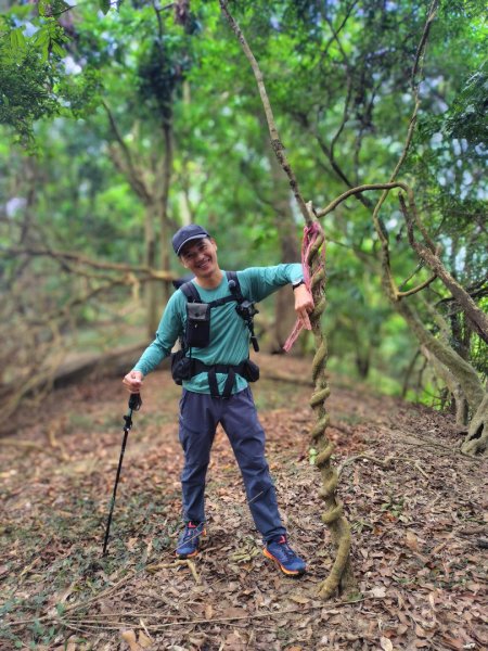 大棟山系南段 水利古道西口 上 竹高崙山 連走 鳥子嶺 坑仔內山 大崖山 下 龍目井農場2953172