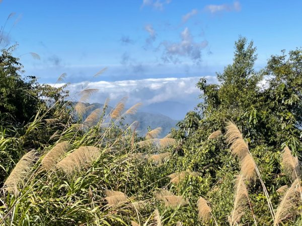 小百岳(60)-奮起湖大凍山-202201091691116