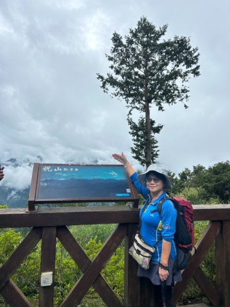 阿里山小笠原祝山森林遊3091591