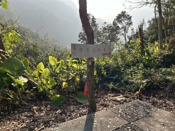 萬年峽谷步道2969840