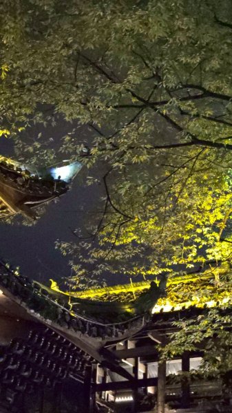 2025/11/8日鳳凰古城2941046