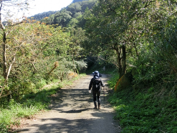 獅仔頭山隘勇線91994