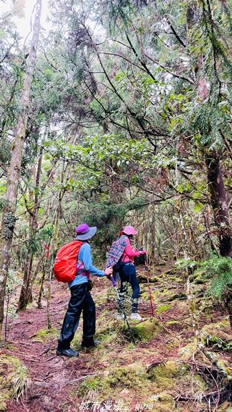 【宜蘭。大同】  三個女生的森林漫遊。  小百岳集起來。 編號85小百岳~三星山登山步道1665003