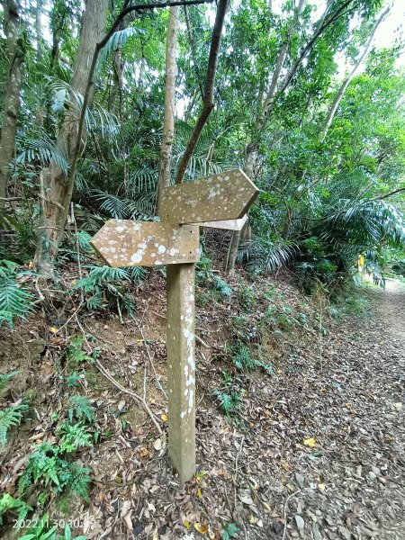 2022 11 30 出關古道：出雲段(出磺坑至法雲寺)1934380