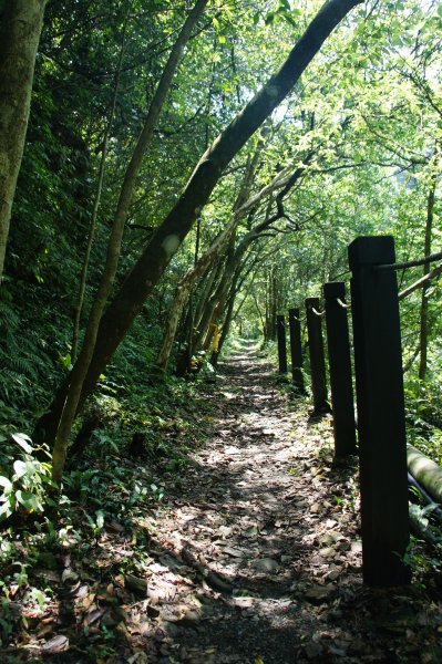 牡丹、燦光寮古道、九份1095923