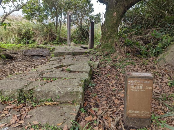 紗帽山步道探訪歷史遺跡、賞芒花1510070