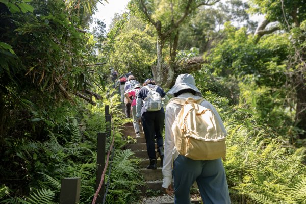 南澳/朝陽國家步道2751984