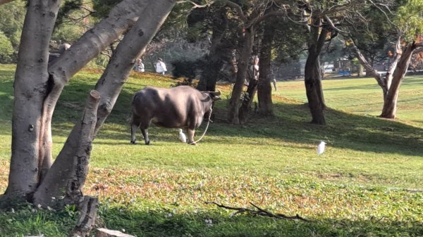 台北大縱走第一段1249049