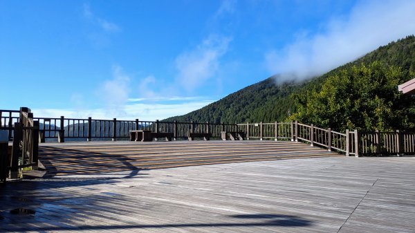 鐵杉林步道,見晴步道,鳩之澤步道2588444