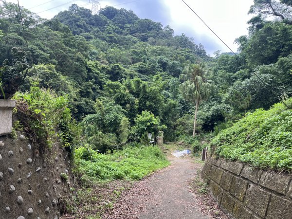 [皮皮獅探險隊-06/10] 2025_0706 四寮溪生態步道2831965