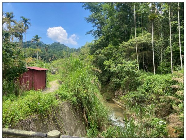 澀水森林步道、水上瀑布2846764