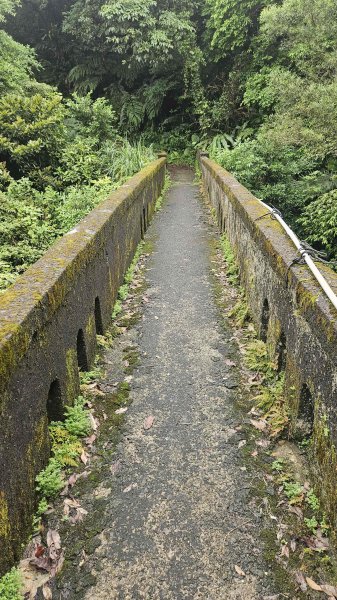 20250722三腦寮北峰-白雲里山-栳寮山(未果)-栳寮東峰