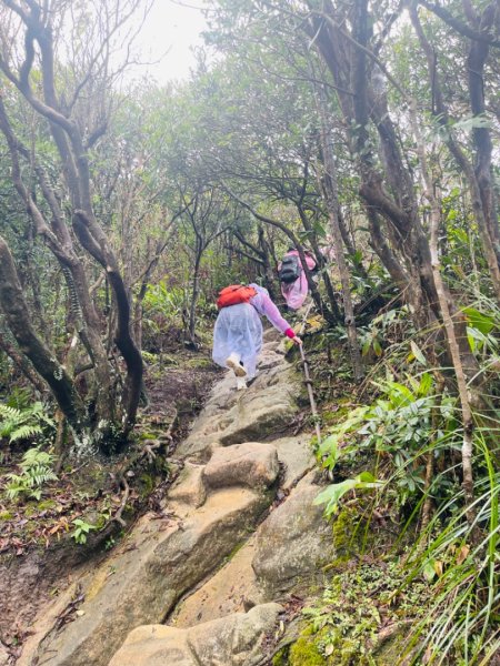 1131225新山夢湖2676517