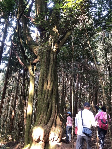 ~  野馬瞰山步道  ~2069365