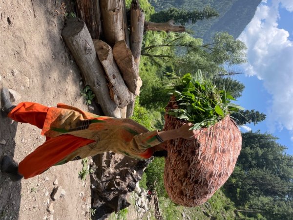 北北印/喀什米爾/拉達克人物寫真2565710