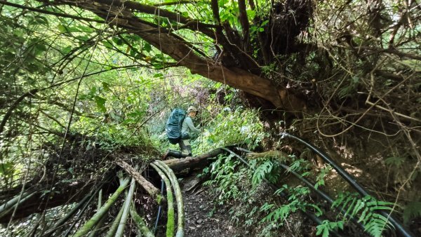 干卓萬群峰五天1141001~052906184