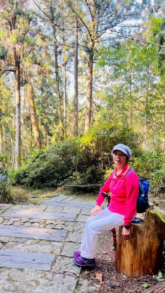 🌈3/21（六）頂湖上大凍山下奮起湖老街✨FB：熊熊趴爬走🌈3020177