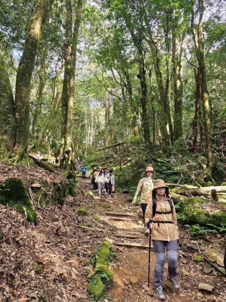 1141122特富野古道2945760