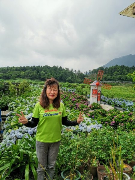 【臺北大縱走2】頂湖和竹子湖賞繡球花海芋981900