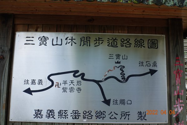 嘉義 番路 烏心石山1665772