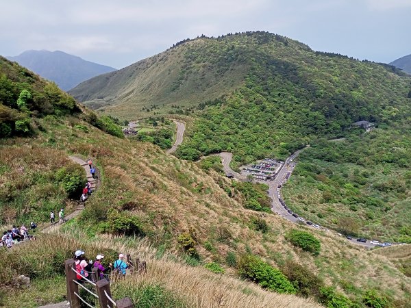 【臺北大縱走 3】七星山東峰→冷水坑→冷擎步道→菁山吊橋→雞心崙→折返至冷水坑