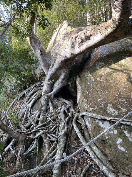崁頭山&竹子尖山2964396