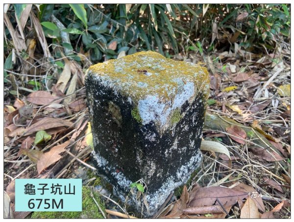 龜子坑山 (南投、魚池)2755654