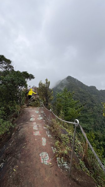 迎新（2026元旦2975587