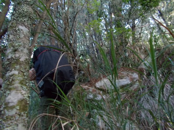 加卑里山縱走黑岩山出觀雲山莊1449959