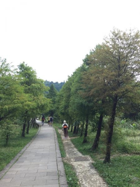 台北大景點！七星山主東峰169982