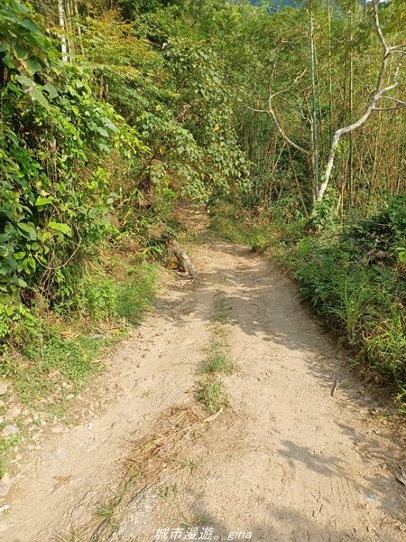 【高雄甲仙】沒有朵朵白雲。 小百岳集起來。 編號69小百岳-白雲山步道1713226