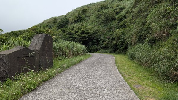 115.05.31燦光寮古道-草山-不厭亭之旅3067248