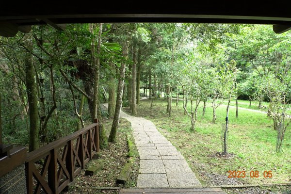 新北 烏來 福山植物園 - 哈盆越嶺步道 - 志良久山2241645