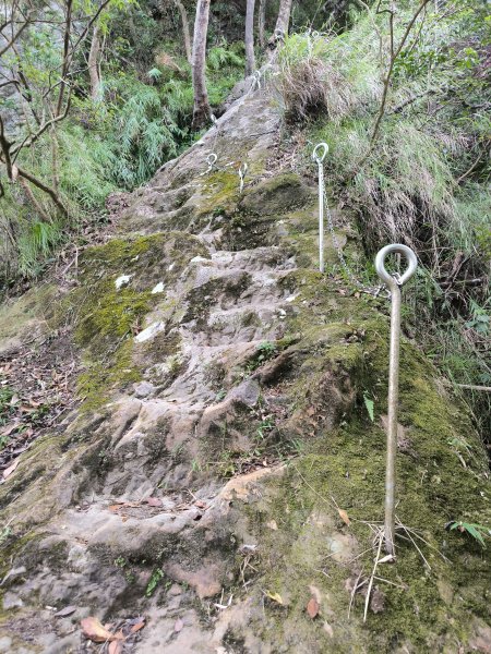 20251010微笑山線：【五分山系】菁桐煤礦段2910198