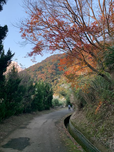 【都市裡的秋日微旅行】天母古道+翠峰瀑布
