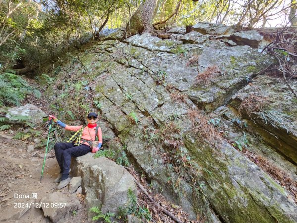 【谷關七雄】波津加(H1771.6m)肉腳配速成功2670424
