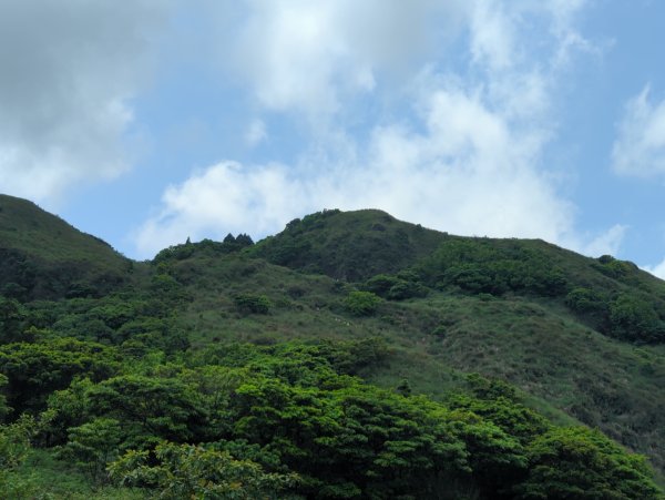 2025.04.27－金包里大路~小油坑縱走2770951