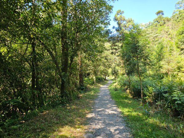 松羅步道 - (宜蘭)臺灣百大必訪步道2556459