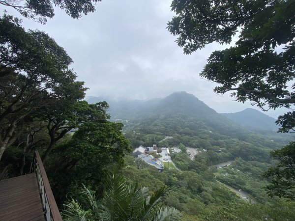 20240616觀音觀鷹尋寶任務福隆山登山步道、林梢步道、牛港稜山登山步道2535550