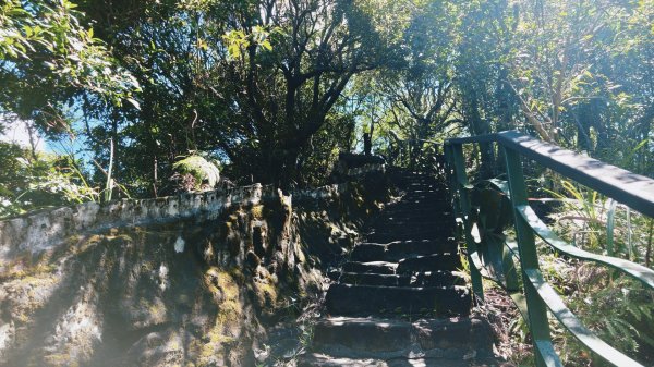 台北健行｜金面山縱走鯉魚山：大岩壁攀爬與山林驚喜3118501