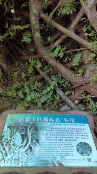 【臺北大縱走 6】象山拇指山南港山九五峰918395