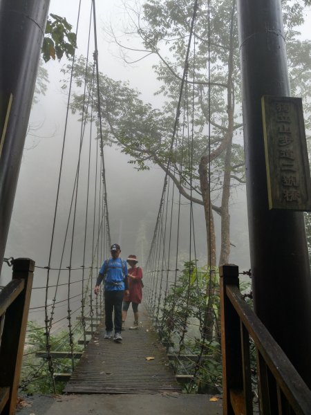 搭阿里山森鐵去登獨立山(小百岳#58)。走大巃頂賞茶園風光 (2020/11/8)1427683