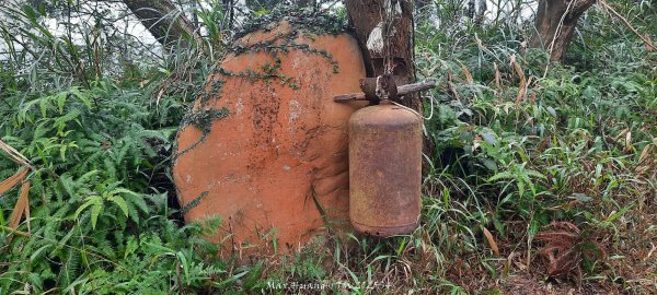 《苗栗》霧雨寒流｜三義三角山步道202512252969218