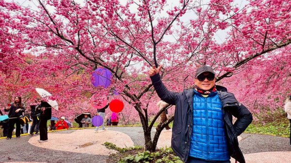 🌈3/1（日）福壽山農場~千櫻園✨FB：熊熊趴爬走🌈3008551