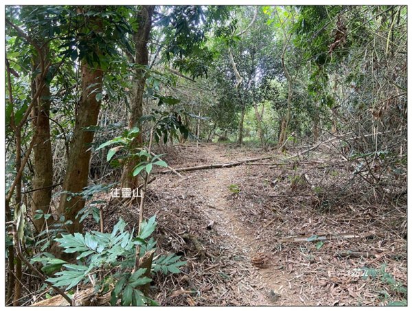 人頭山、靈山步道 連走2962208