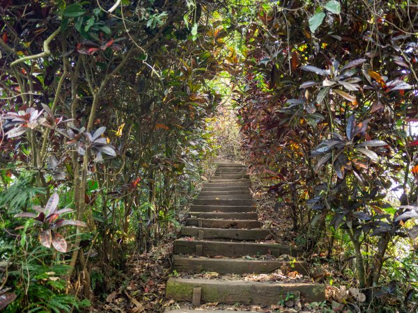 獨立山步道2961187