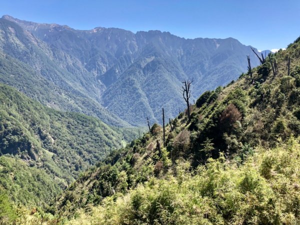 輕鬆享大景—鹿林山/麟趾山連走1486652